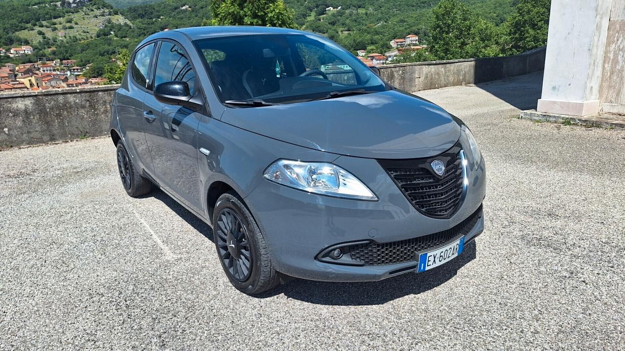 Lancia Ypsilon 0.9 TwinAir 85 CV 5 porte Metano Ecochic Elefantino