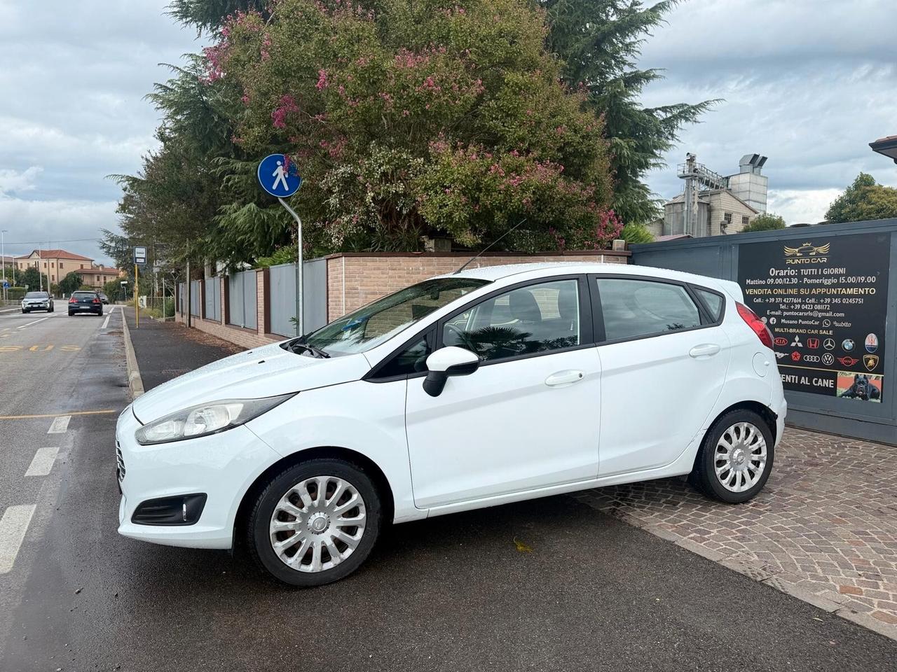 Ford Fiesta 1.5 TDCi 75CV 5 porte Black & White Edition