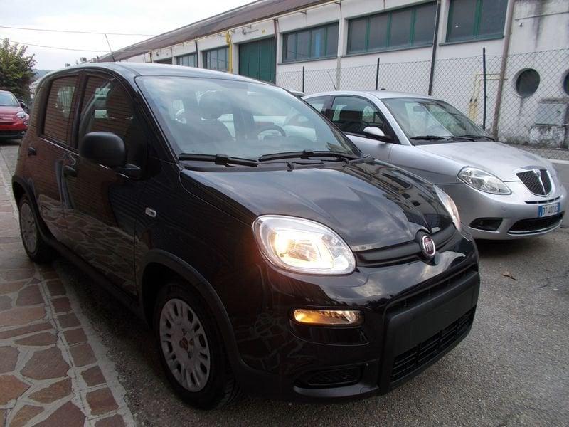 FIAT Panda 1.0 FireFly S&S Hybrid KM. ZERO 338.7575187 MASSARI MARCO