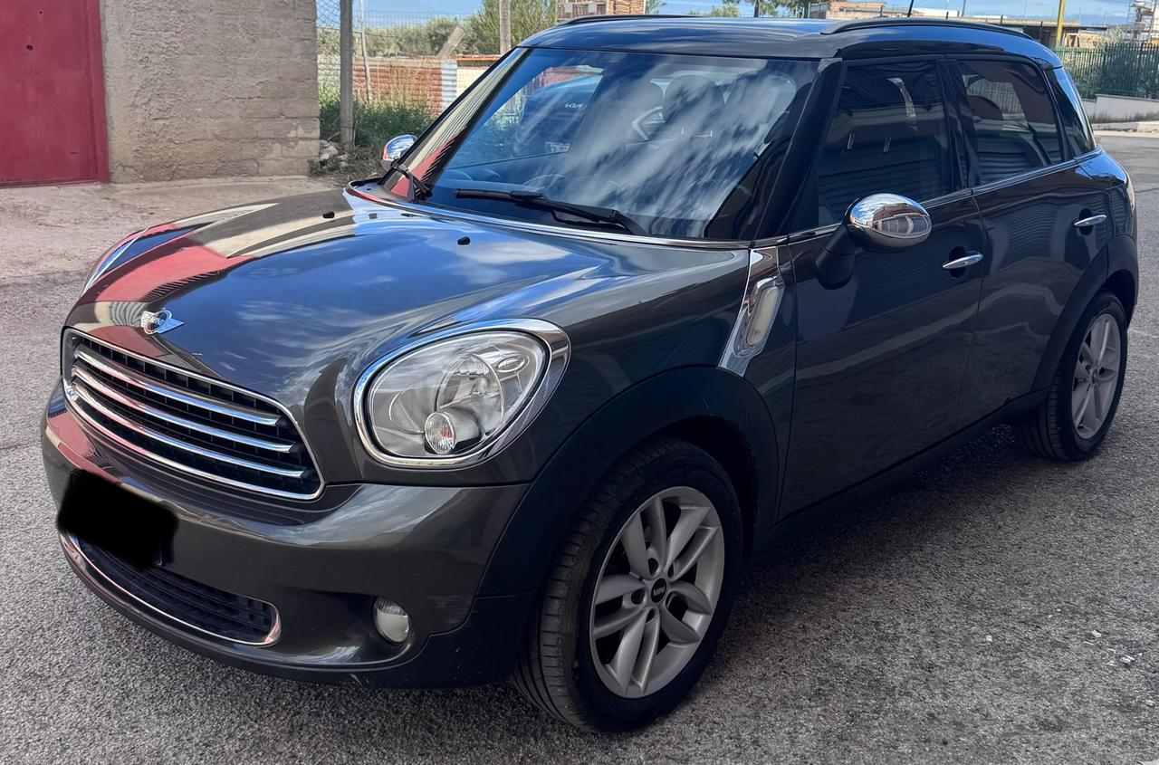 Mini countryman