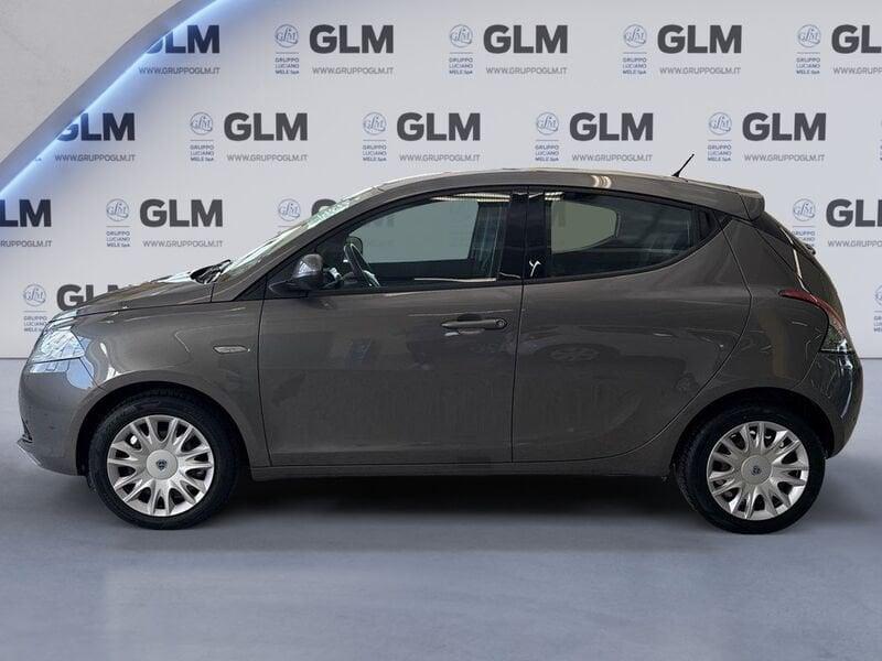 Lancia Ypsilon Ypsilon 1.2 69 CV 5 porte Elefantino