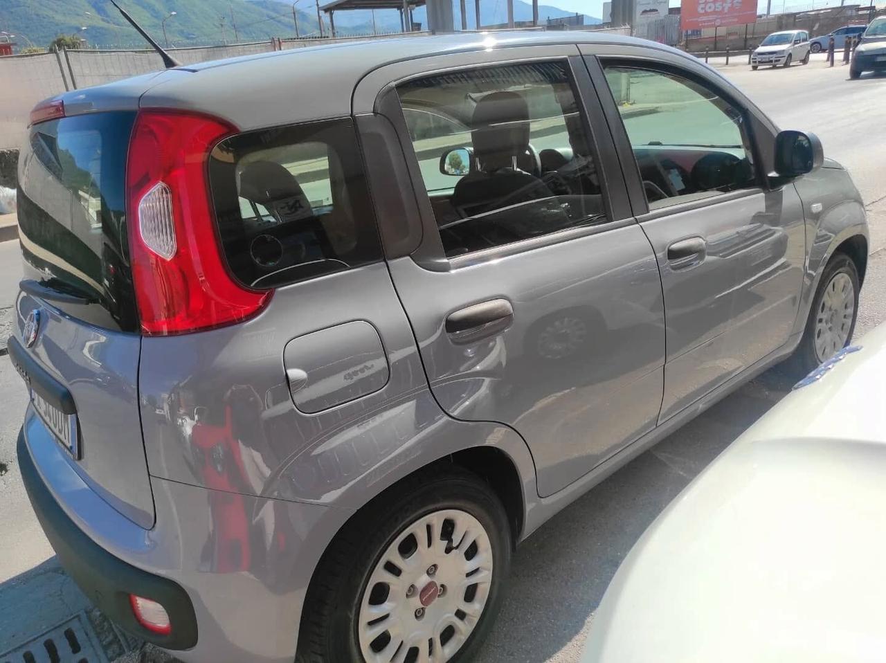 Fiat Panda 2017 1.2 easyPower Gpl casa madre 1 Propr