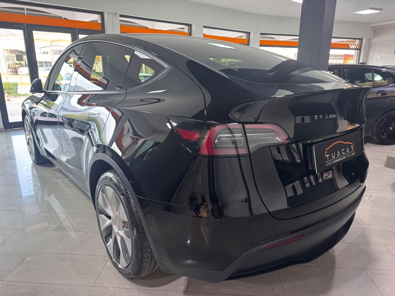 Tesla Model Y Dual Motor Long Range AWD #5359