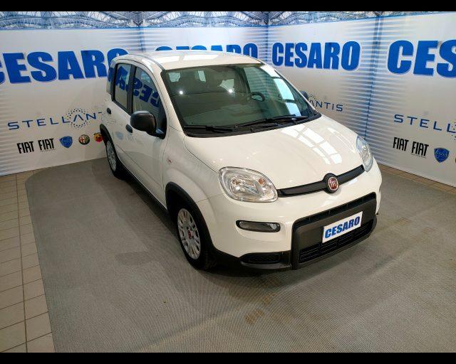 FIAT New Panda 1.0 firefly hybrid s&s 70cv 5p.ti