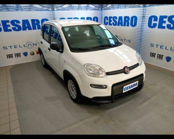 FIAT New Panda 1.0 firefly hybrid s&s 70cv 5p.ti