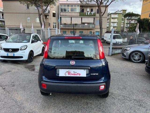 FIAT Panda 1.0 FireFly S&S Hybrid 70 cv