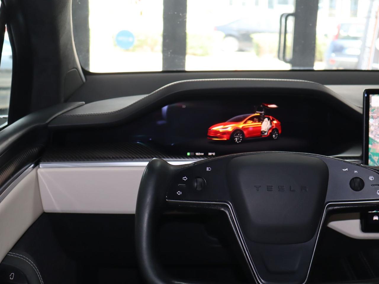 Tesla Model X Plaid #11739
