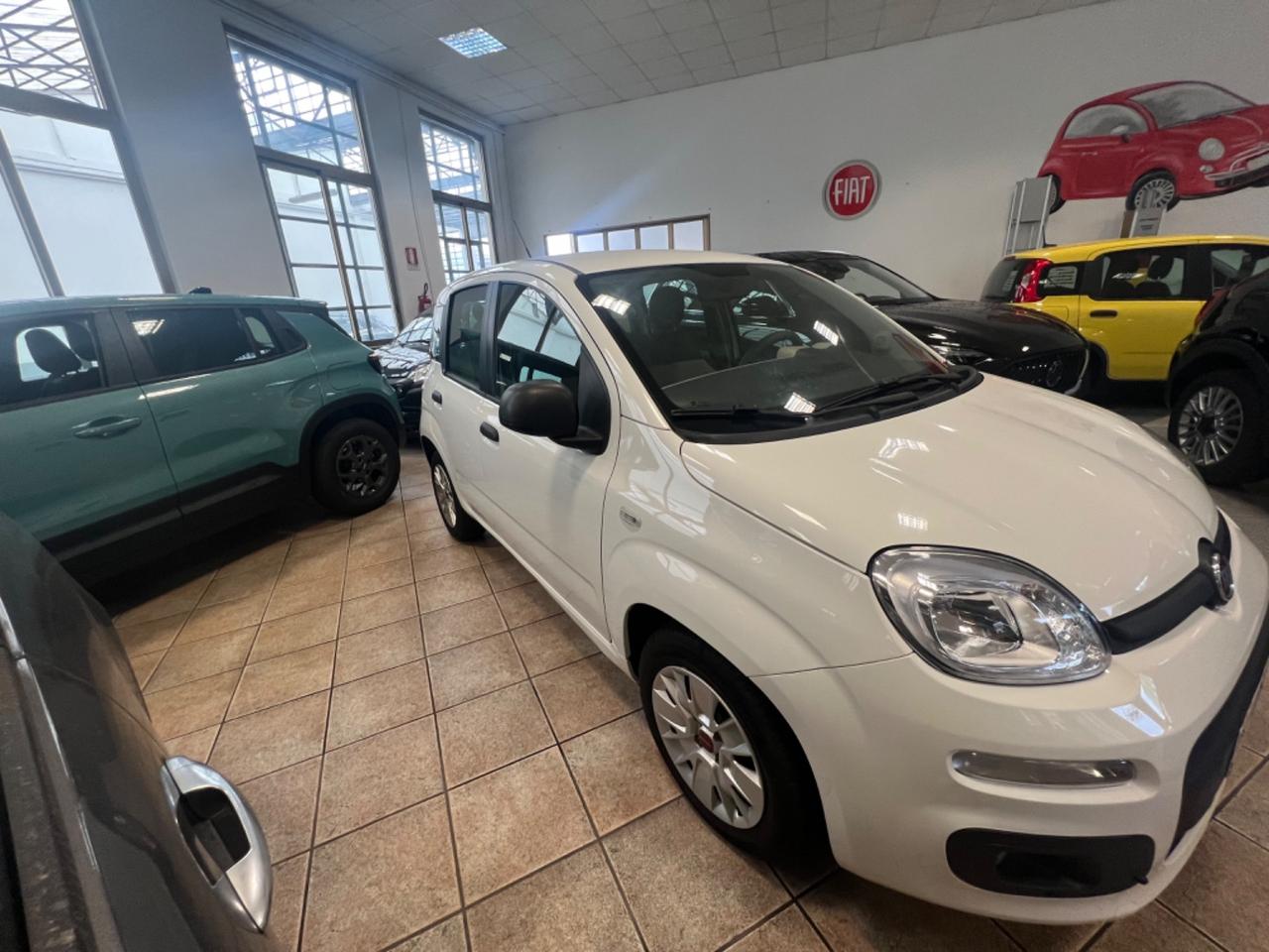 Fiat Panda 1.2 Easy - MOTORE NUOVO