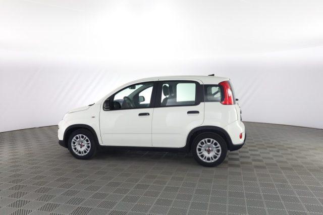 FIAT Panda Panda 1.0 FireFly S&S Hybrid