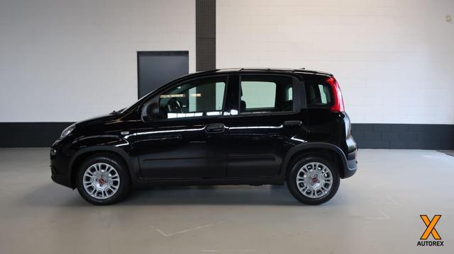 FIAT Panda 1.0 FireFly S&S Hybrid per neopatentati