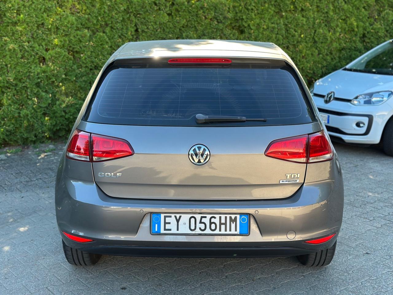 Volkswagen Golf 1.6 TDI 90 CV 5p. Trendline BlueMotion Technology