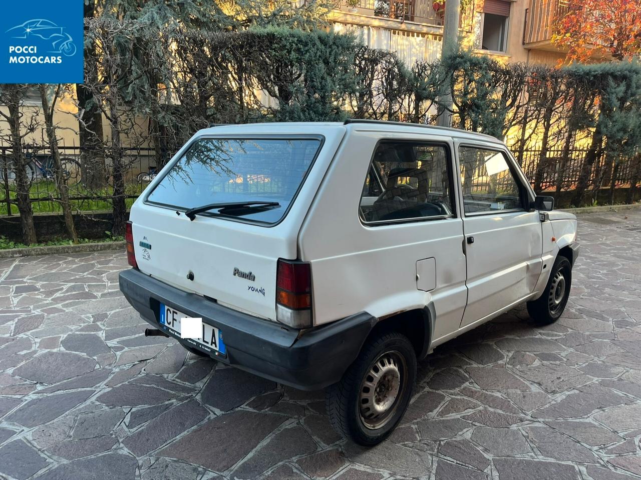 Fiat Panda 1100 i.e. cat Young