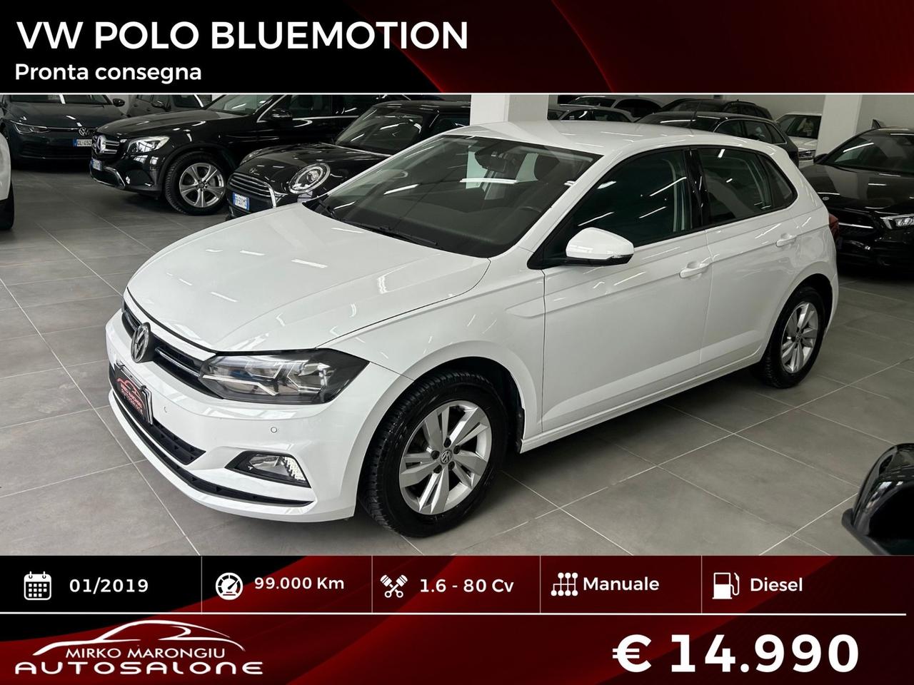 Volkswagen Polo 1.6 80 cv BlueMotion FINANZIABILE