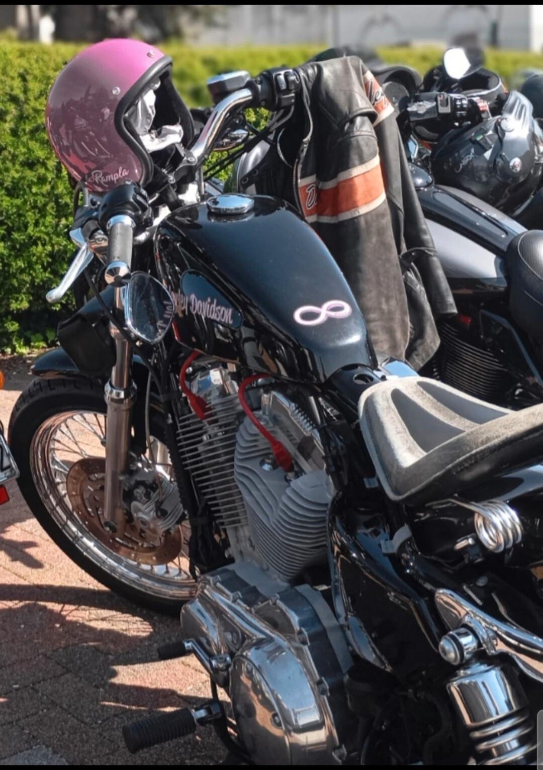 Harley-davidson XL 883L Sportster 883 SuperLow 2