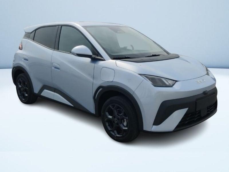 BYD Dolphin Surf Comfort