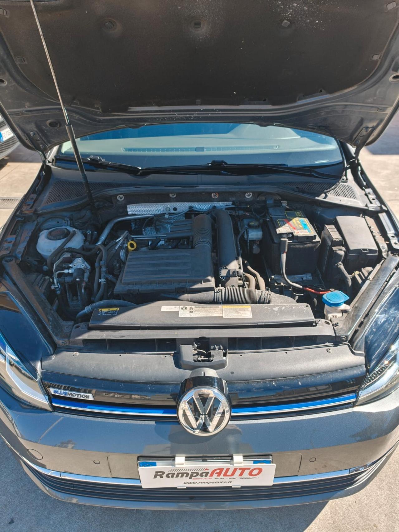 Volkswagen Golf 1.4 TGI DSG 5p. Executive BlueMotion