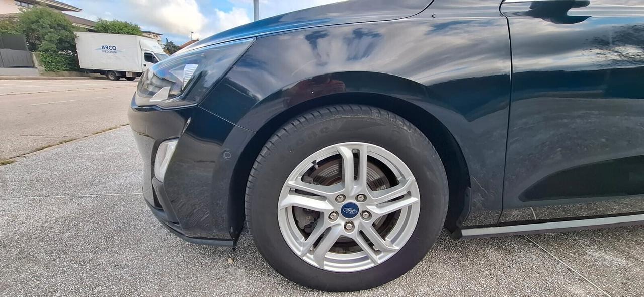 Ford Focus 1.5 EcoBlue 120 CV automatico 5p. Business Co-Pilot