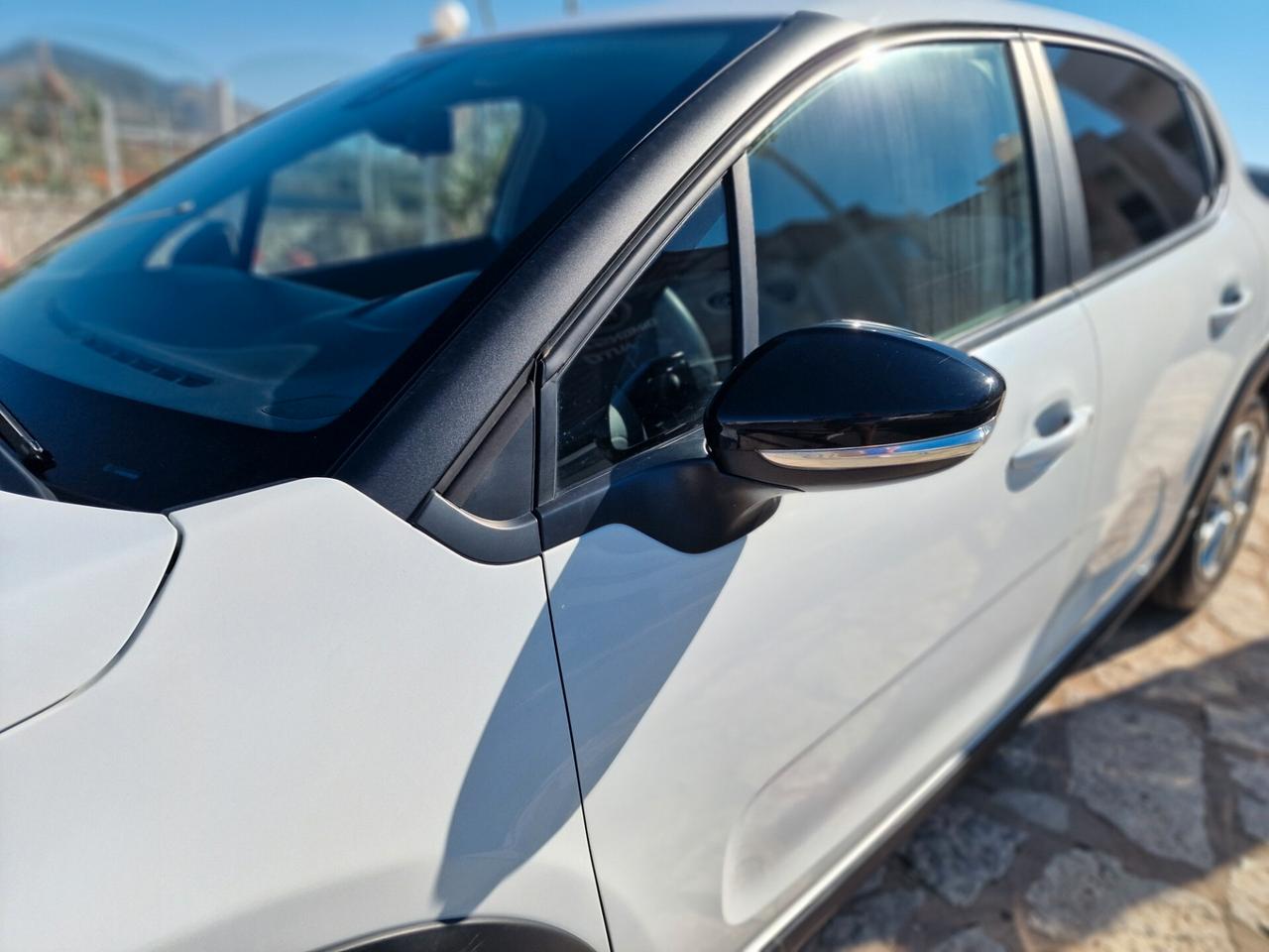 Citroen C3 BlueHDi 100 S&S Business Combi N1