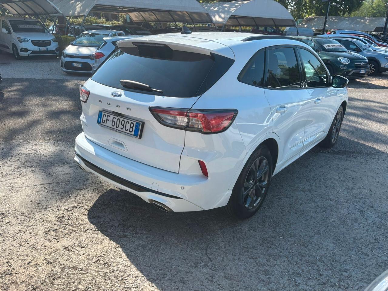 Ford Kuga 1.5 EcoBlue 120 CV aut. 2WD ST-Line