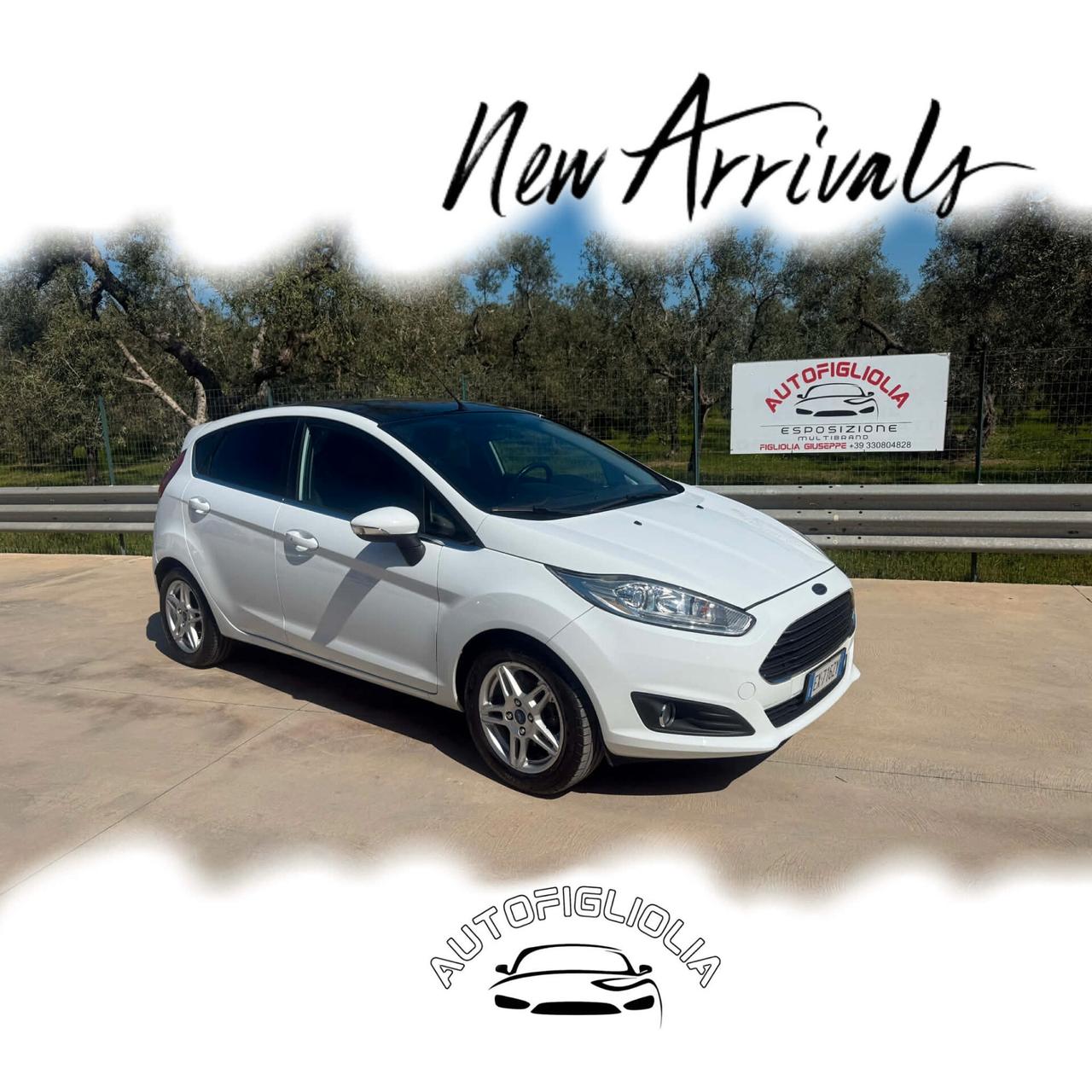 Ford Fiesta 1.5 TDCi 75CV 5 porte Titanium 2014