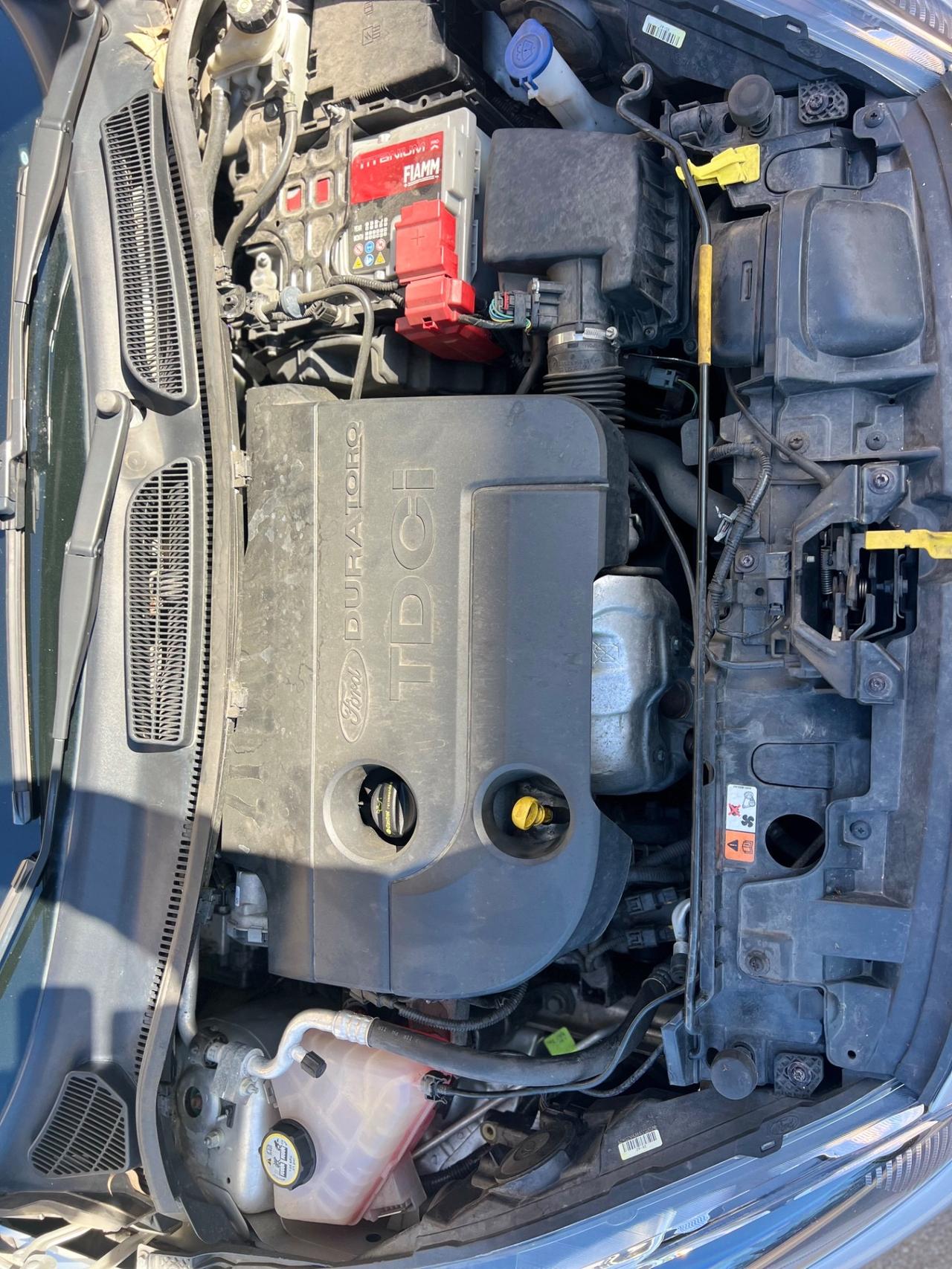 Ford Fiesta 1.5 TDCi 75CV 5 porte