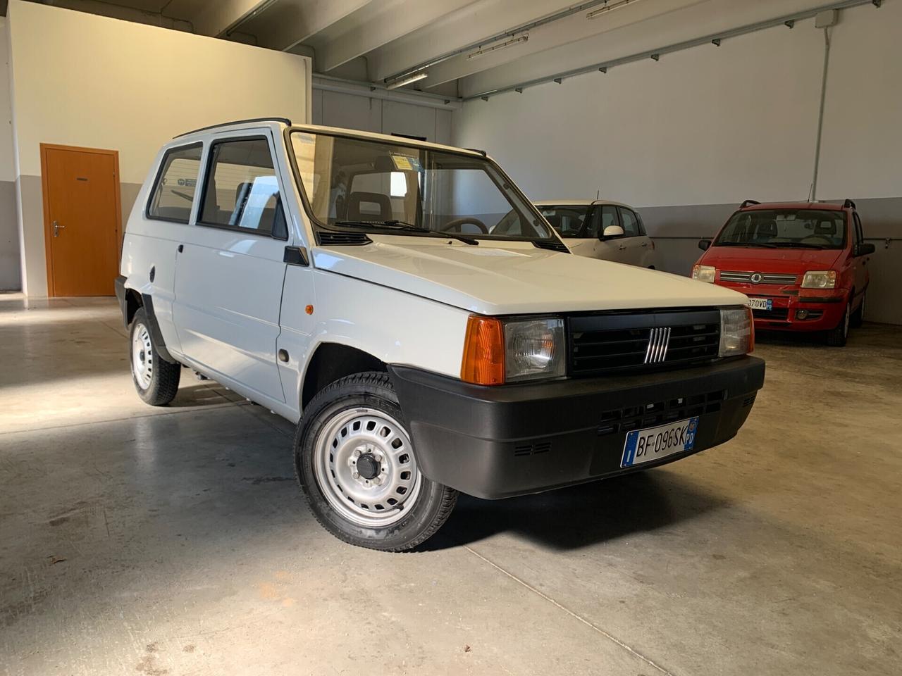 Fiat Panda 900 i.e. cat Young