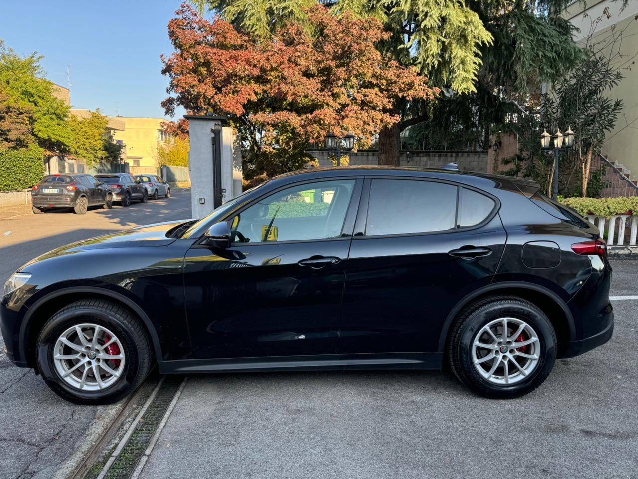 Alfa Romeo Stelvio 2.2 Turbodiesel 190 CV AT8 Q4 Business