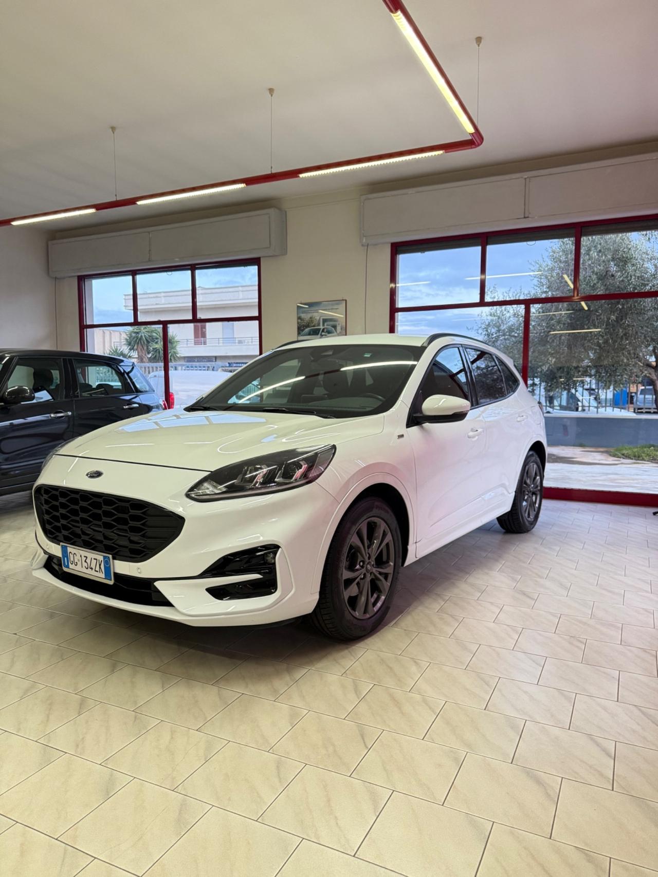 Ford Kuga 1.5 EcoBlue 120 CV aut. 2WD ST-Line X