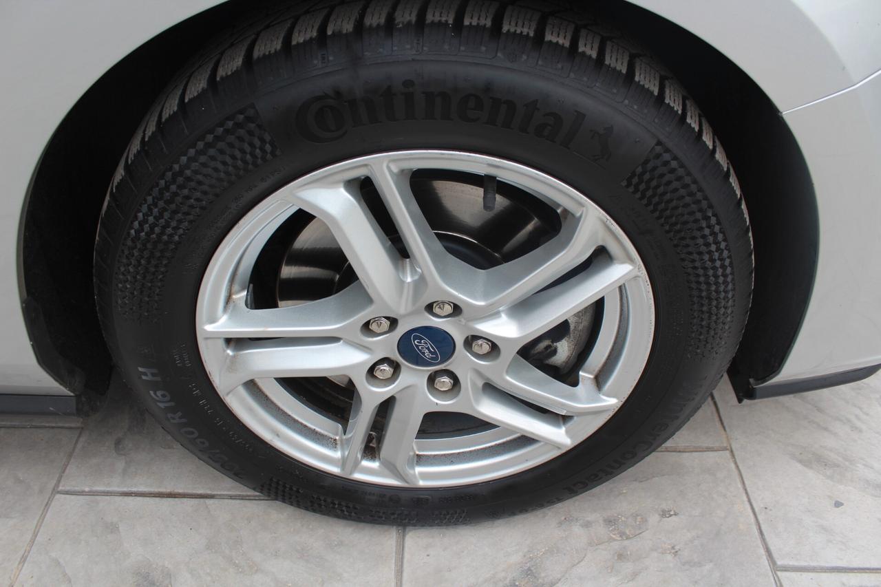 Ford Focus 1.5 EcoBlue 120 CV automatico SW Business Co-Pilot