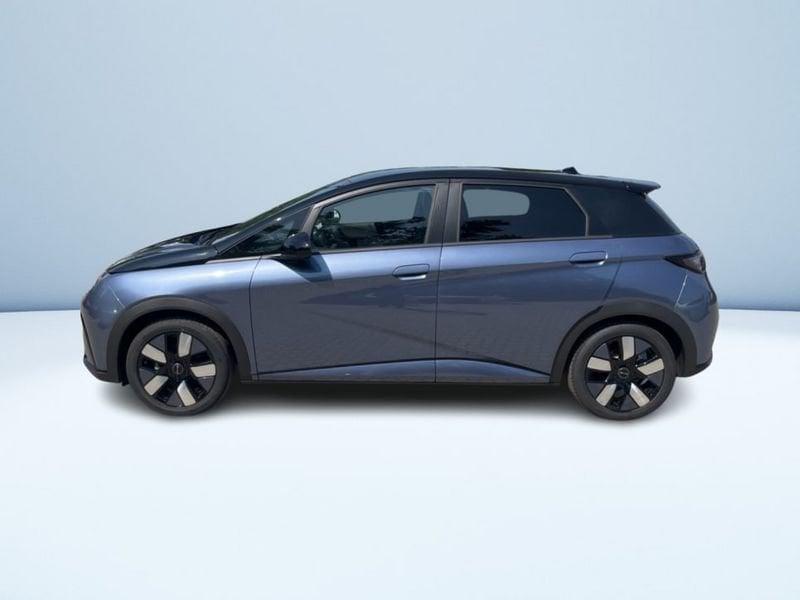 BYD DOLPHIN Design