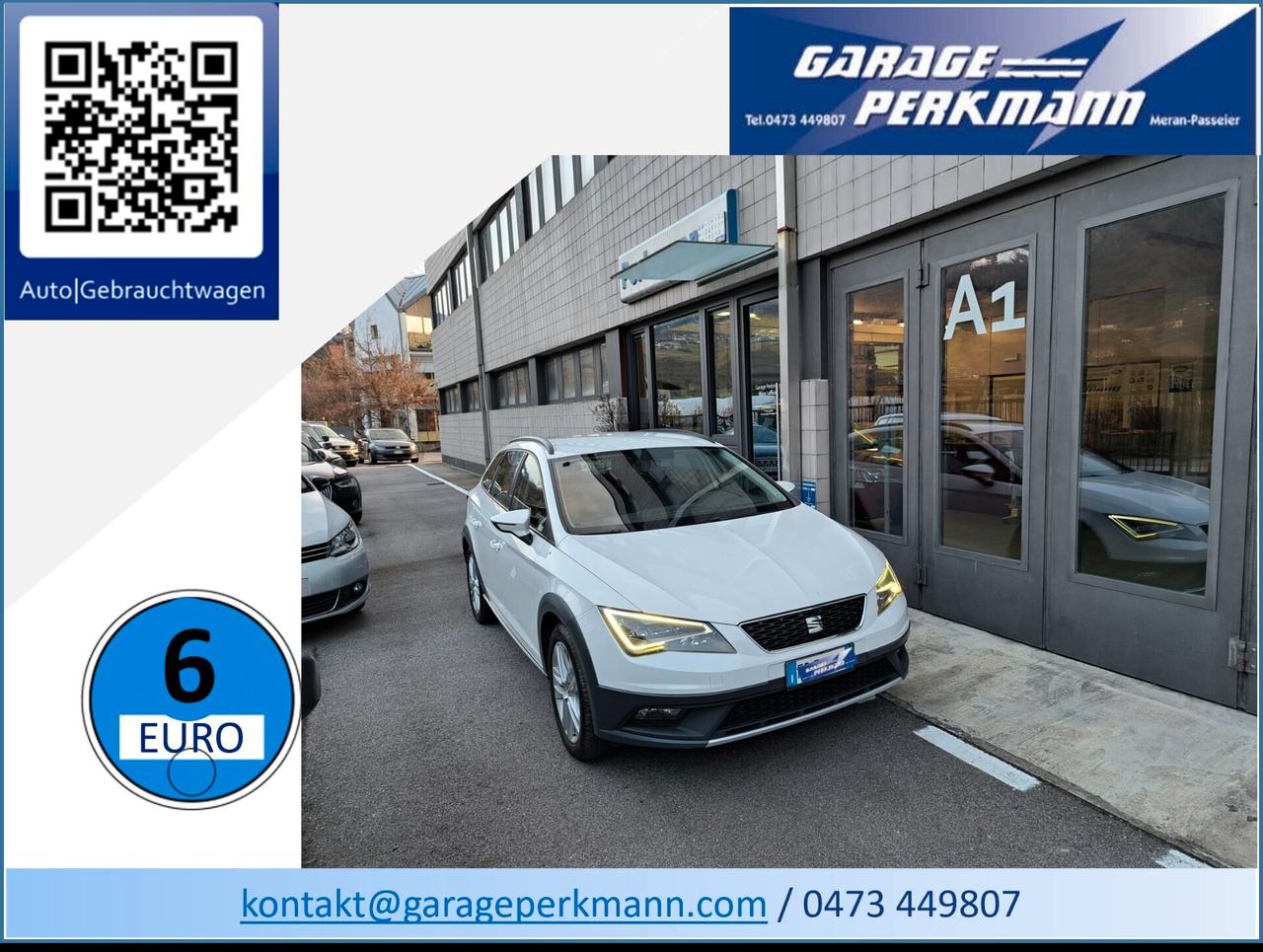 Seat Leon 1.6 TDI 110 CV 4DRIVE ST Start/Stop X-PERIENCE