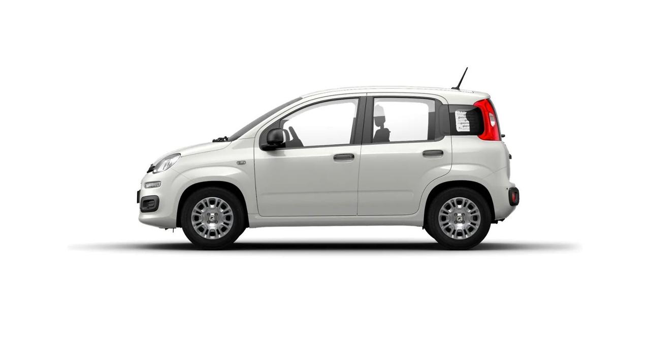 FIAT Pandina Pandina 1.0 FireFly 65 CV Hybrid Icon
