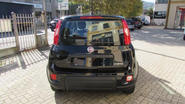 FIAT - Panda - 1.0 FireFly S&S Hybrid .