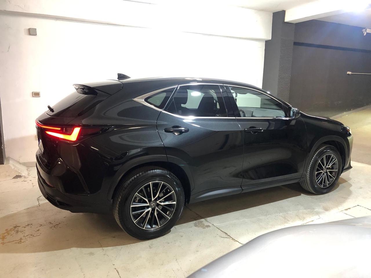 Lexus NX 300h NX Plug-in 4WD Luxury