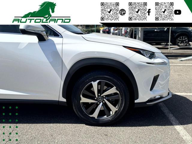LEXUS NX 300 Hybrid 4WD Executive 155 CV