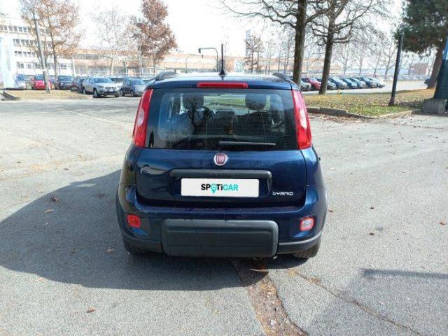 FIAT Panda my21 10 70cv hybrid city life