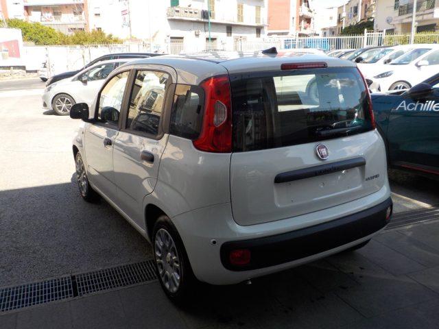 FIAT Panda MY25 - 1.0 FireFly Hybrid POP