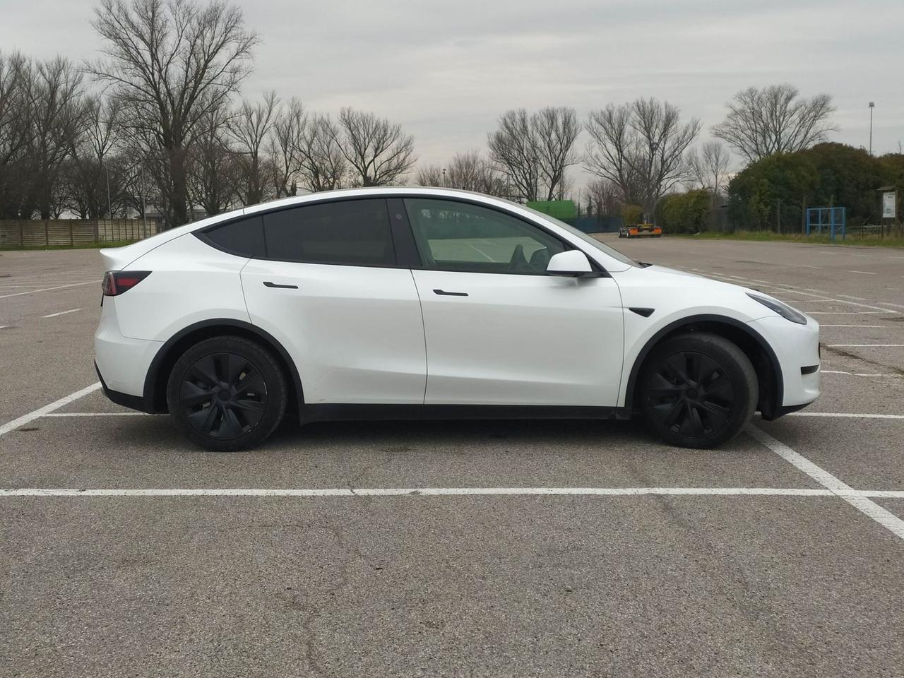 Tesla Model Y Standard Range / Standard #9113