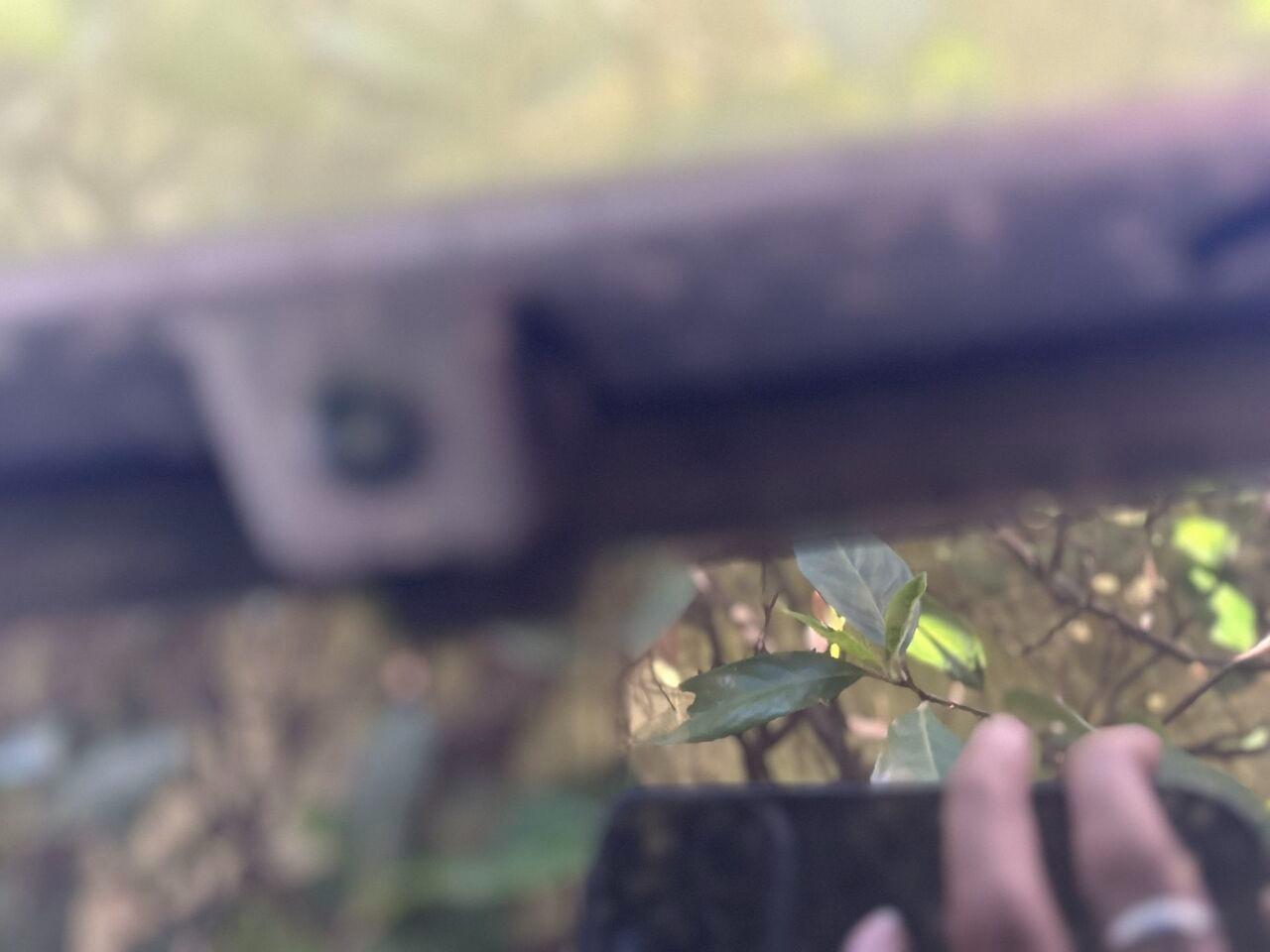 PEUGEOT 208 II 2023 - 208 1.2 puretech Allure s&s 100cv