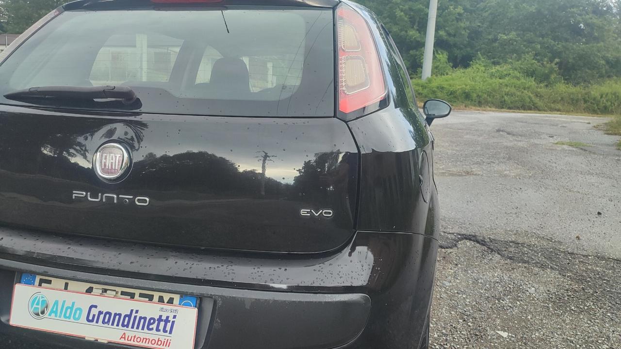 FIAT PUNTO EVO 1.3 MJT 95CV