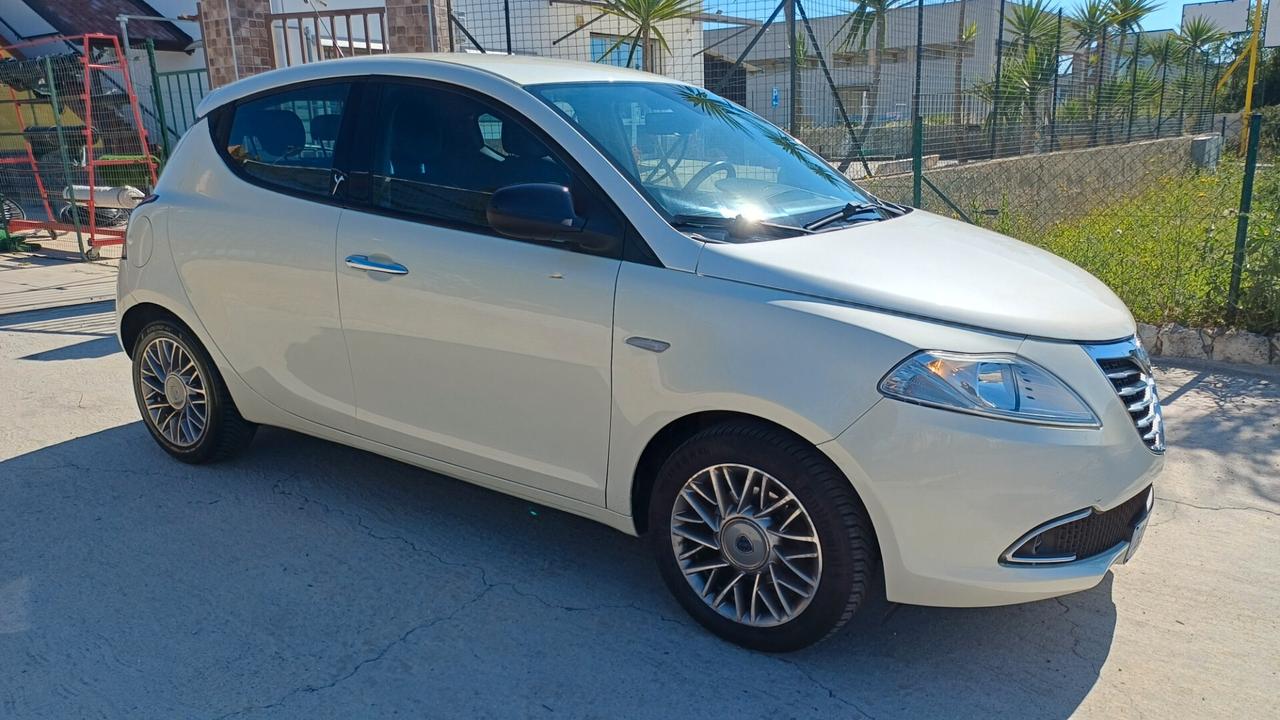 Lancia Ypsilon 1.3 MJT 16V 95 CV 5 porte S&S Platinum