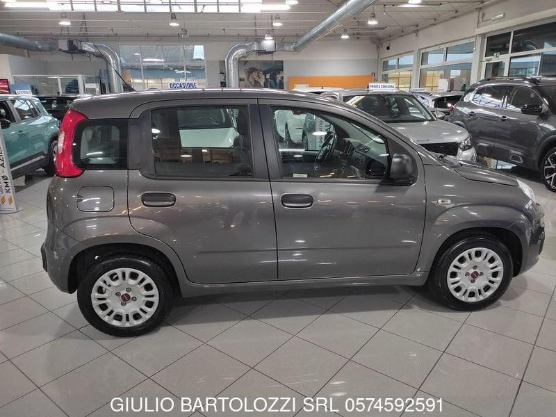 FIAT Panda Panda 1.2