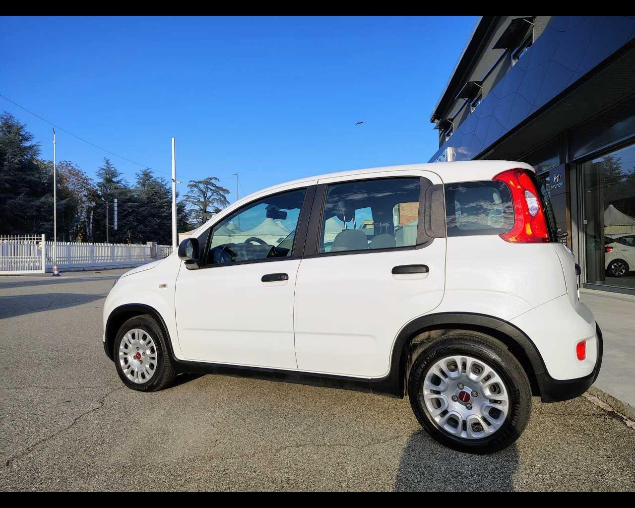 FIAT Panda III 2021 - Panda 1.0 firefly hybrid s&s 70cv