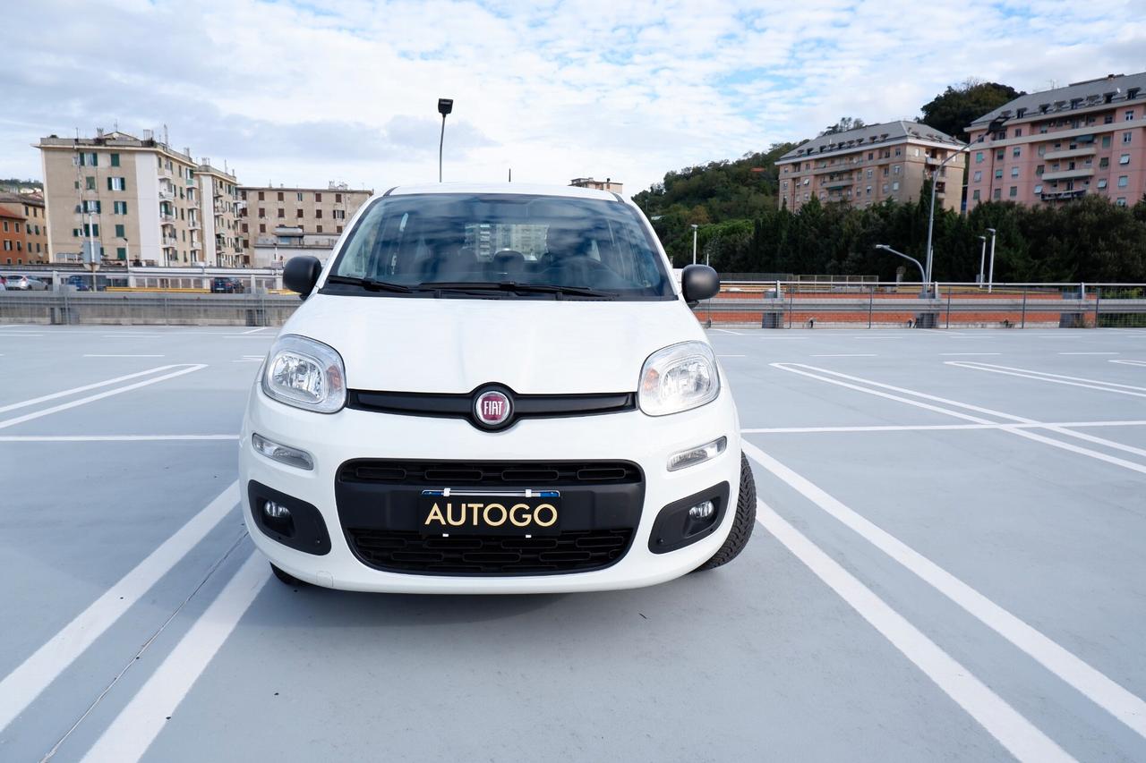 Fiat Panda 5 Posti 1.2 69CV E6D-TEMP EASY