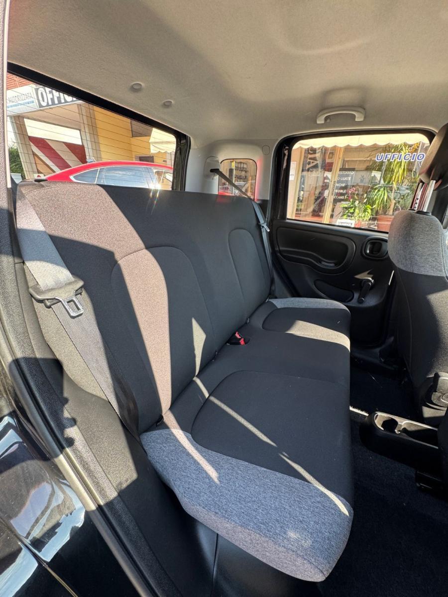 FIAT - Panda - 1.0 FireFly S&S Hybrid NEOPATENTATI