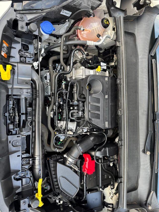 FORD Puma 1.0 EcoBoost Hybrid 125 CV S&S ST-Line