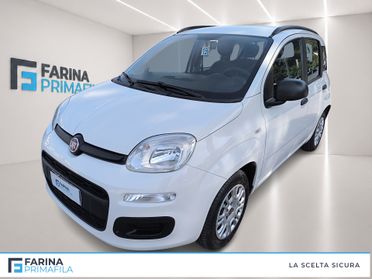 FIAT Panda III 2016 - Panda 1.2 Easy s&s 69cv my19