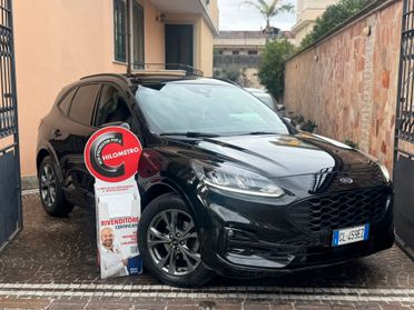 Ford Kuga 1.5 EcoBlue 120 CV 2WD ST-Line