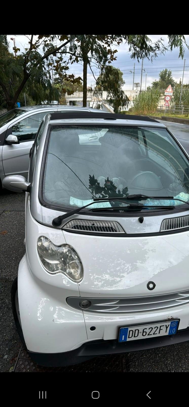 Smart ForTwo 800 33 kW cabrio passion cdi