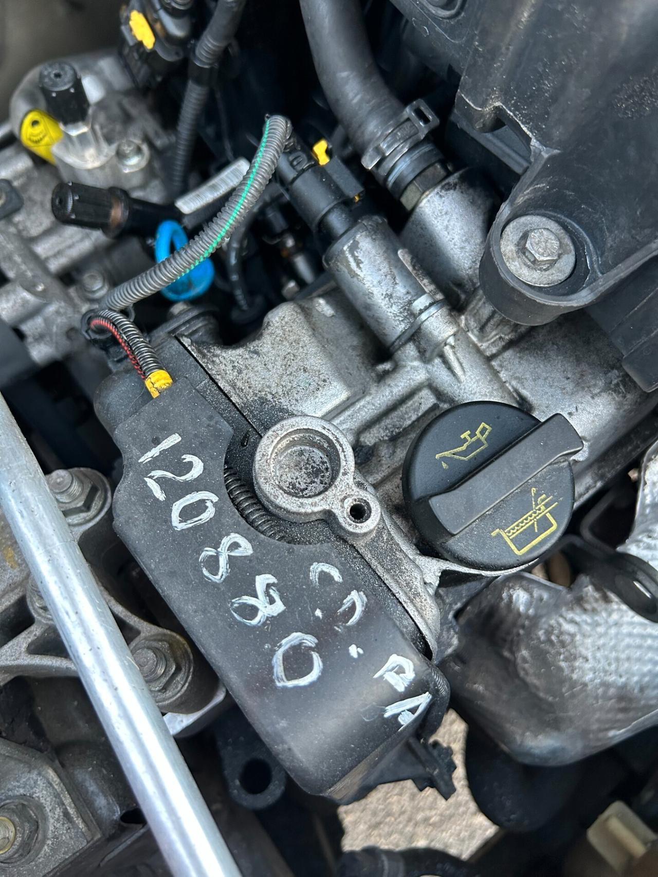 Fiat Panda 1.2 cc benzina